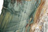 Freestanding Gary Green Jasper (Larsonite) Bog Wood - Oregon #377789-1